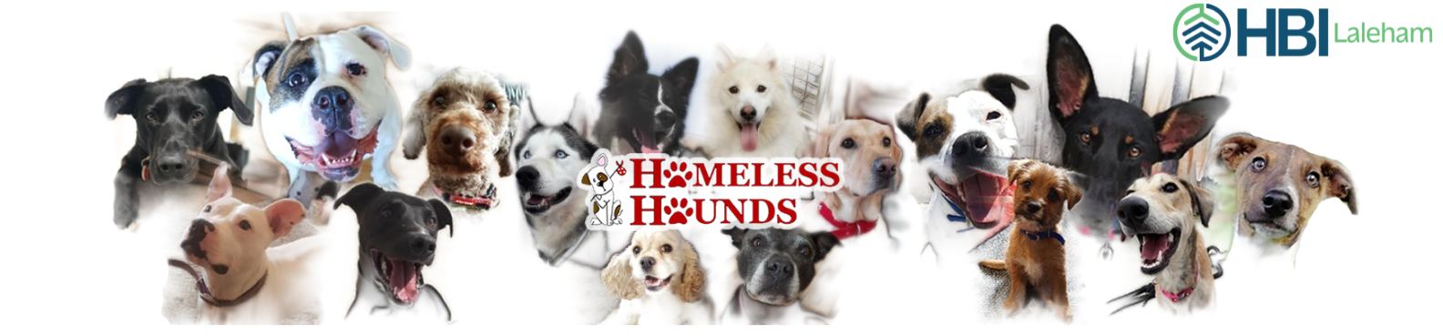 Homeless Hounds