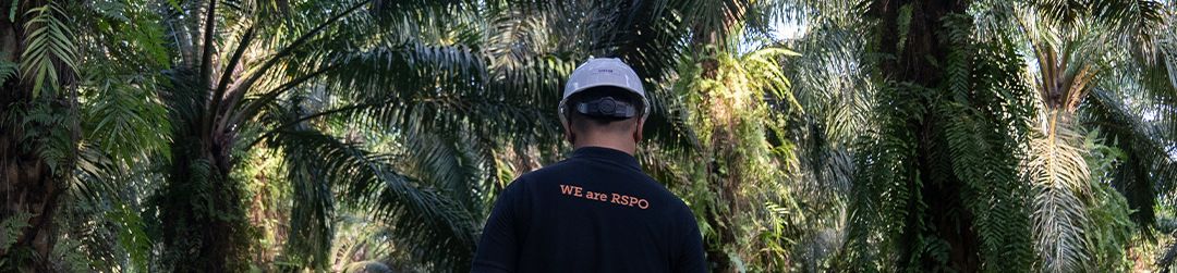 RSPO Certification Expanded